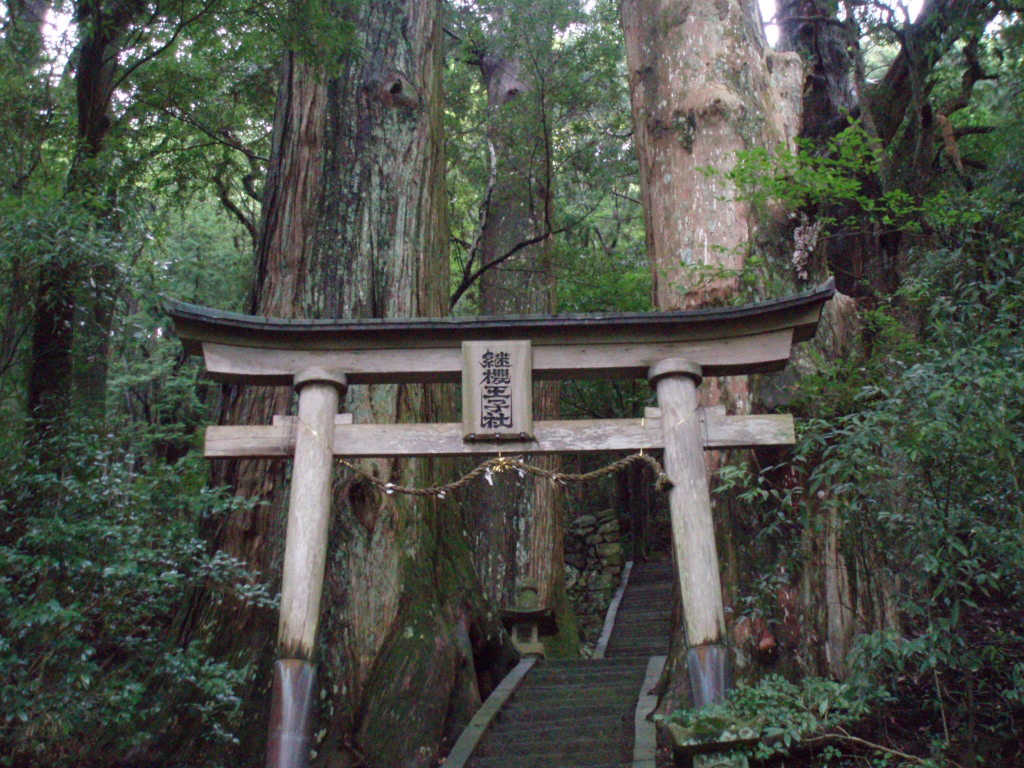 継桜王子と野中の一方杉